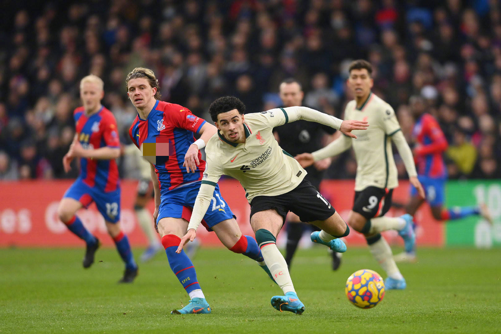 这为国内市 这为国内市